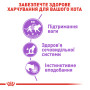 Royal Canin Sterilised у паштеті для котів, 85 г