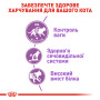 Royal Canin Sterilised – сухий корм для стерилізованих котів віком від 1 до 7 років, 10 кг
