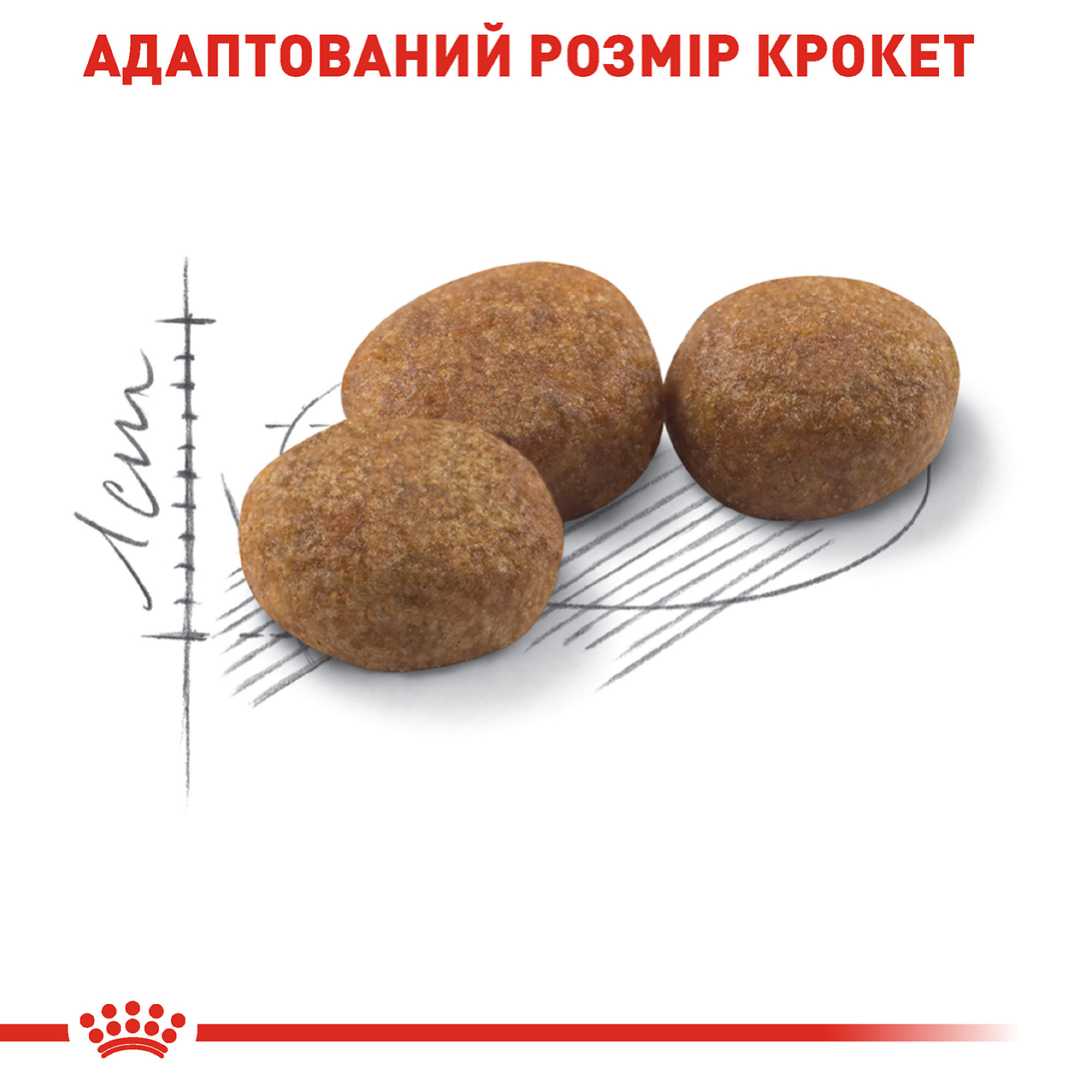 Royal Canin Sterilised – сухий корм для стерилізованих котів віком від 1 до 7 років, 10 кг