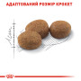 Royal Canin Sterilised – сухий корм для стерилізованих котів віком від 1 до 7 років, 10 кг