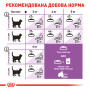 Royal Canin Sterilised – сухий корм для стерилізованих котів віком від 1 до 7 років, 10 кг