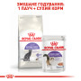 Royal Canin Sterilised – сухий корм для стерилізованих котів віком від 1 до 7 років, 10 кг