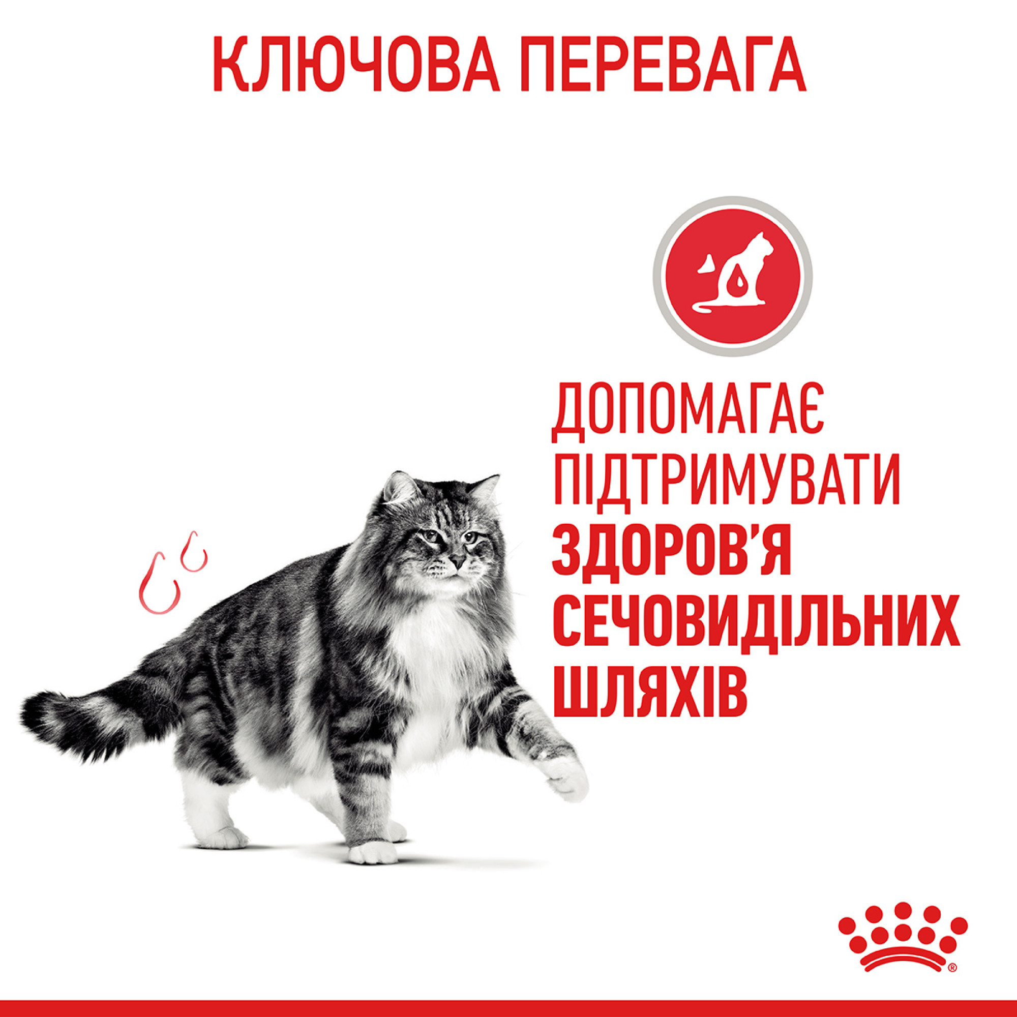 Royal Canin Urinary Care Feline – сухий корм для підтримки здоров’я сечовидільної системи у котів, 2 кг