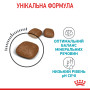 Royal Canin Urinary Care Feline – сухий корм для підтримки здоров’я сечовидільної системи у котів, 2 кг