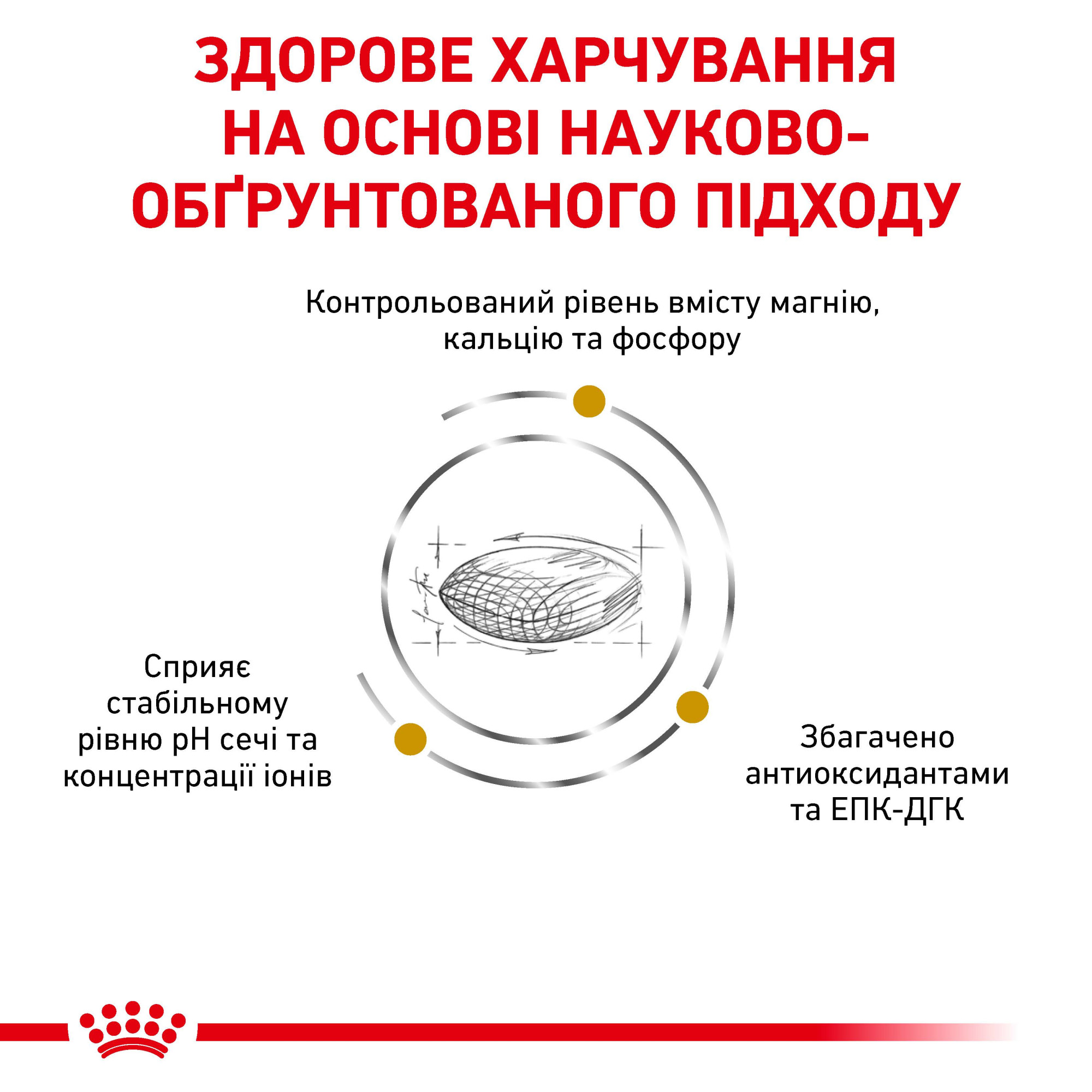 Royal Canin Urinary S/O Canine – диетический сухой корм для собак с заболеваниями мочевыделительной системы, 2 кг