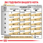 Royal Canin Urinary S/O Feline Pouches – вологий дієтичний корм у паучах для котів із захворюваннями сечовивідної системи, 85 г