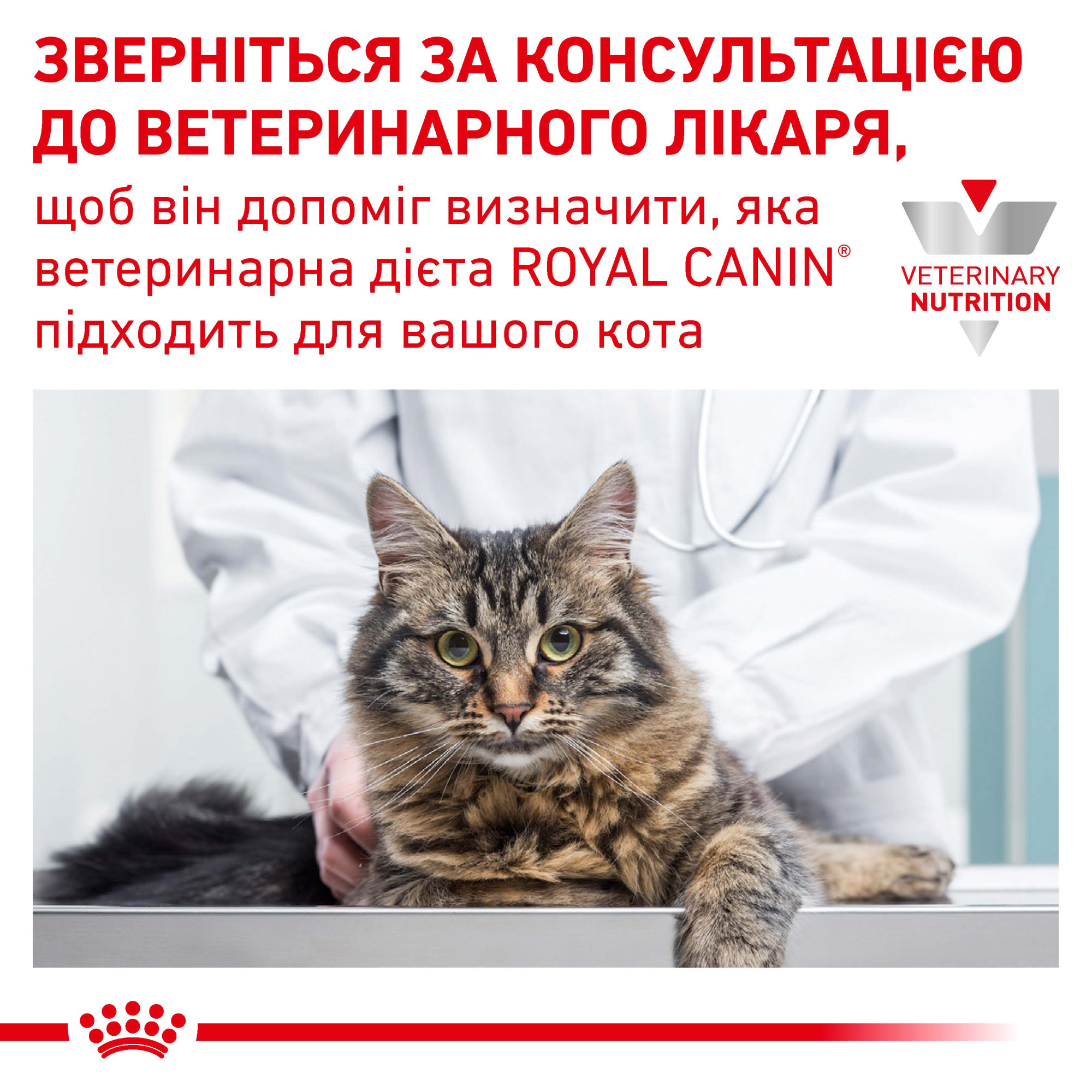 Royal Canin Urinary S/O Feline Pouches – вологий дієтичний корм у паучах для котів із захворюваннями сечовивідної системи, 85 г