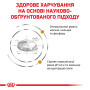 Royal Canin Urinary S/O Feline – сухий дієтичний корм для котів при захворюваннях сечовивідної системи, 3.5 кг