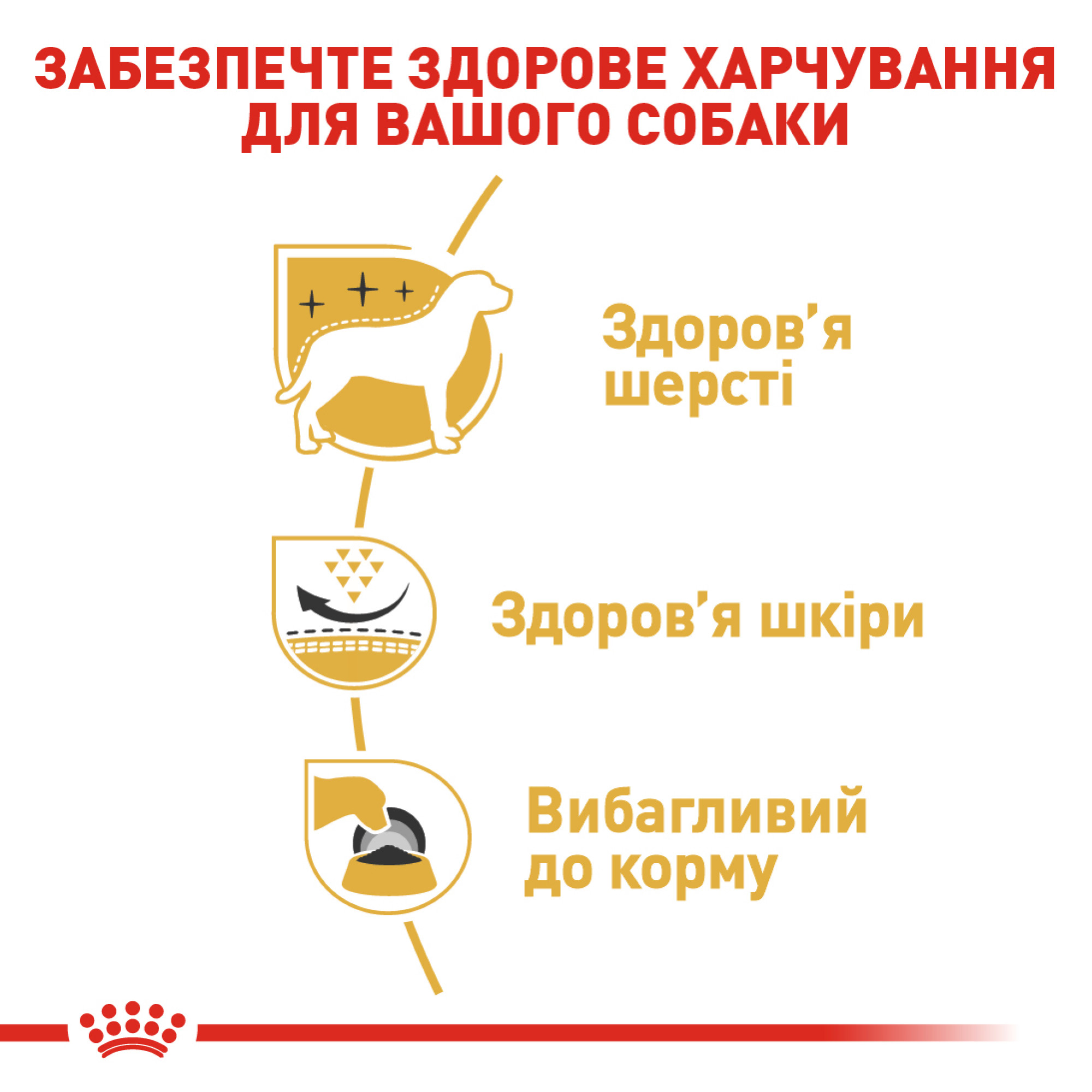 Royal Canin West Highland White Terrier Adult – сухой корм для взрослых собак породы вест-хайленд-уайт-терьер, 3 кг