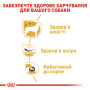 Royal Canin West Highland White Terrier Adult – сухой корм для взрослых собак породы вест-хайленд-уайт-терьер, 3 кг