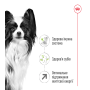 Royal Canin X-Small Adult 8+ – сухой корм для взрослых собак миниатюрных пород от 8 лет, 3 кг