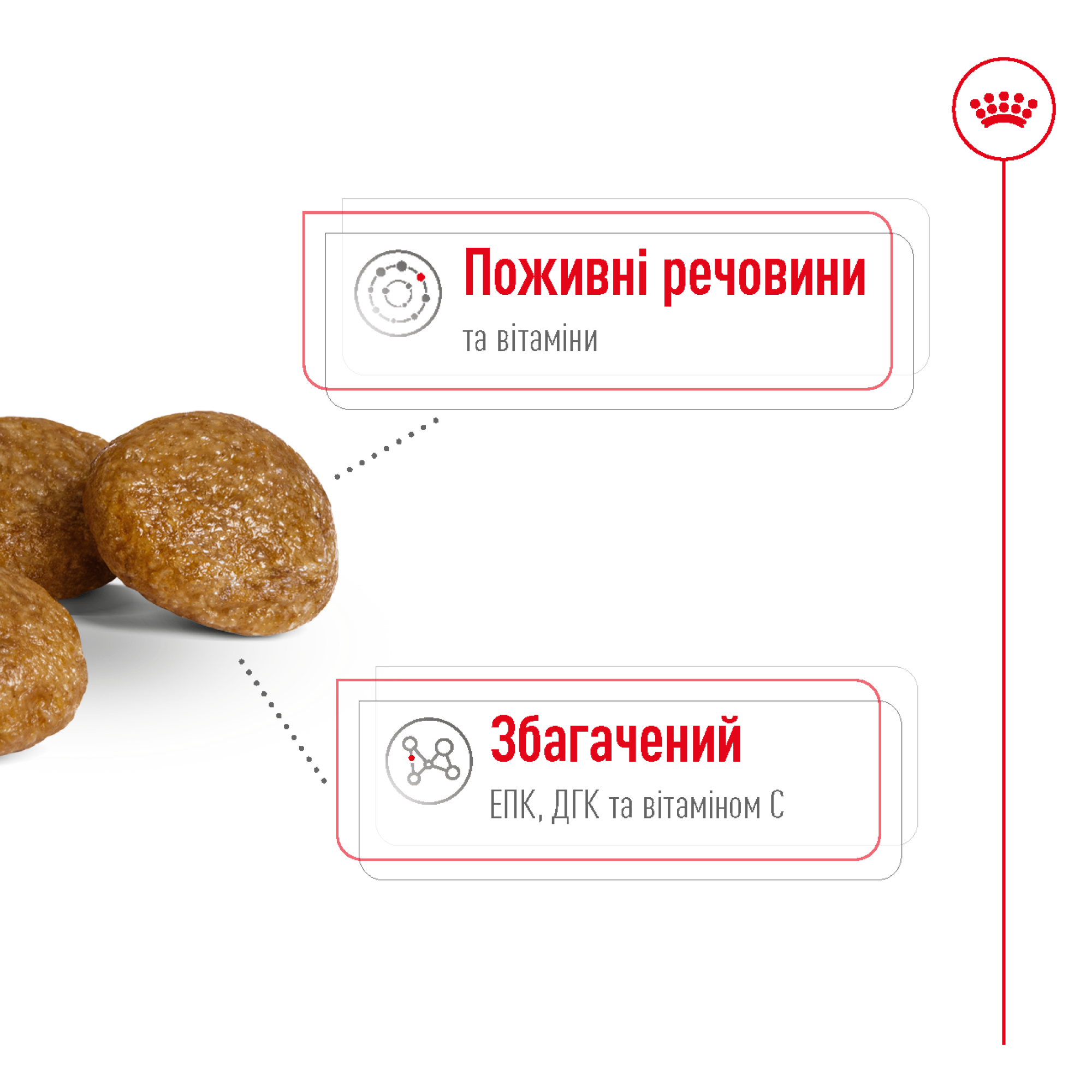Royal Canin X-Small Adult 8+ – сухой корм для взрослых собак миниатюрных пород от 8 лет, 3 кг