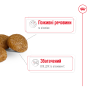 Royal Canin X-Small Adult 8+ – сухой корм для взрослых собак миниатюрных пород от 8 лет, 3 кг