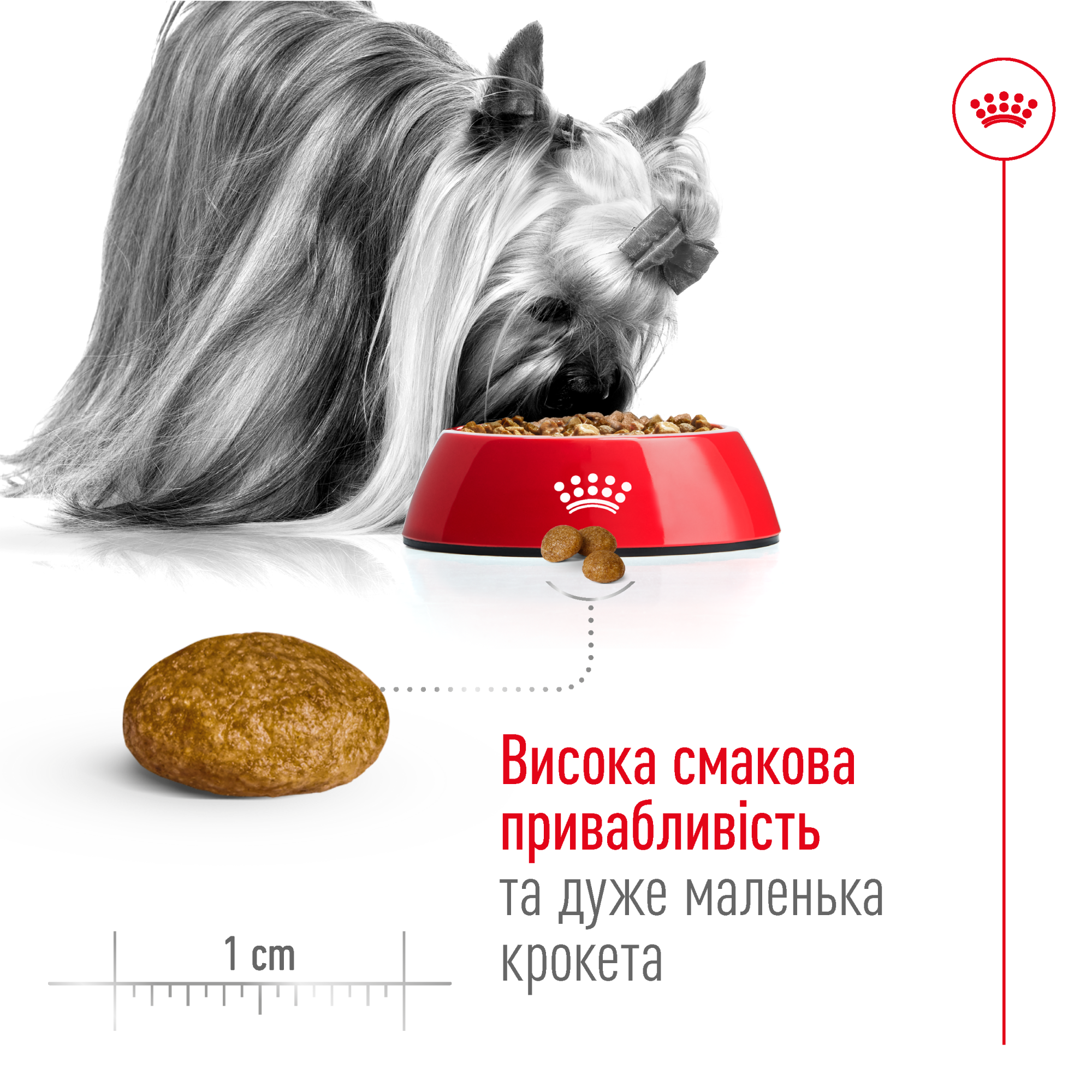 Royal Canin X-Small Adult 8+ – сухой корм для взрослых собак миниатюрных пород от 8 лет, 3 кг