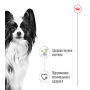 Royal Canin X-Small Adult Gravy – влажный корм в соусе для взрослых собак миниатюрных пород (до 4 кг) 85 г