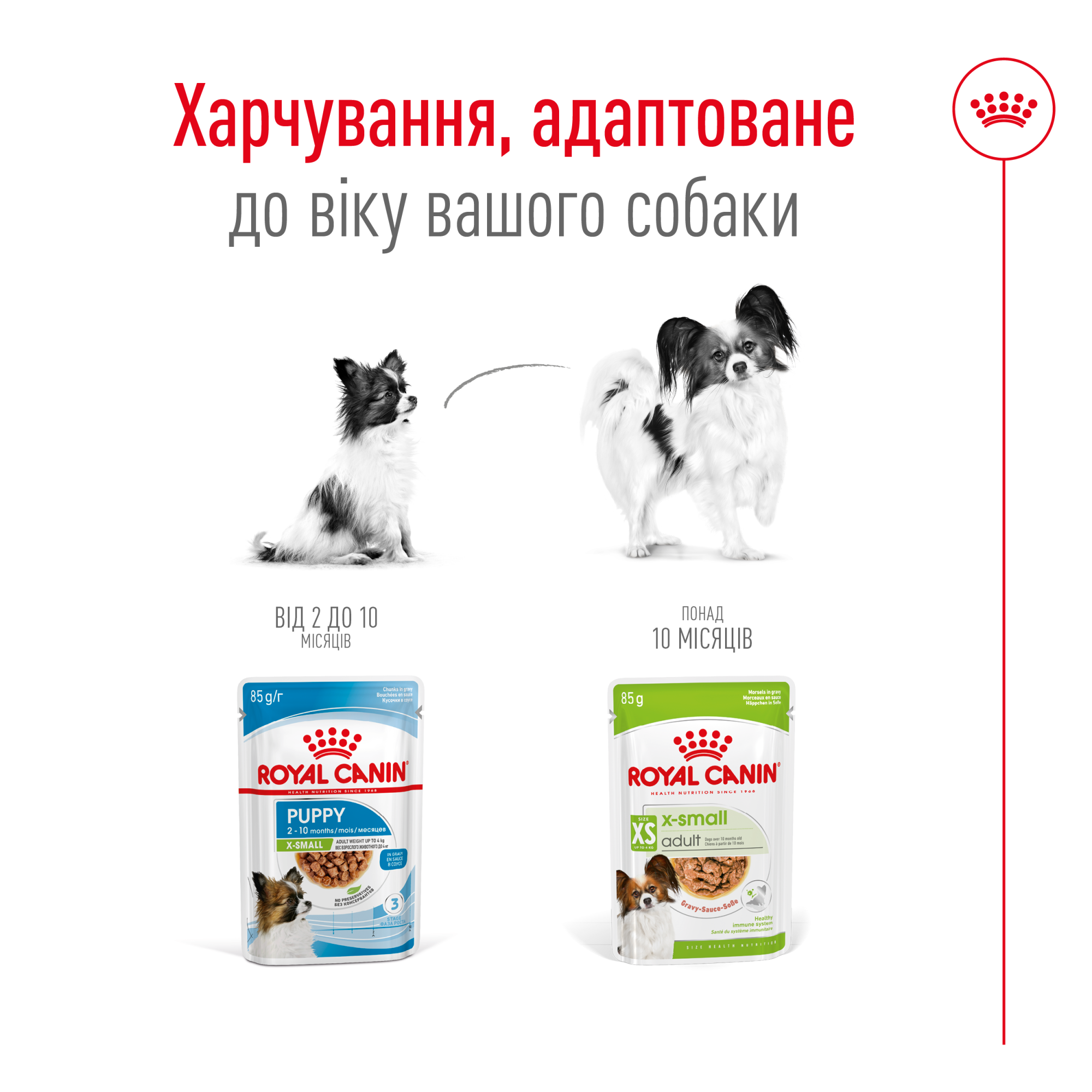Royal Canin X-Small Adult Gravy – влажный корм в соусе для взрослых собак миниатюрных пород (до 4 кг) 85 г