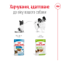 Royal Canin X-Small Adult Gravy – влажный корм в соусе для взрослых собак миниатюрных пород (до 4 кг) 85 г