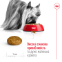 Royal Canin X-Small Adult – сухий корм для дорослих собак мініатюрних порід, 3 кг