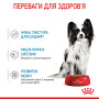 Royal Canin X-Small Puppy Gravy – влажный корм в соусе для щенков миниатюрных пород (до 4 кг во взрослом возрасте) 85 г