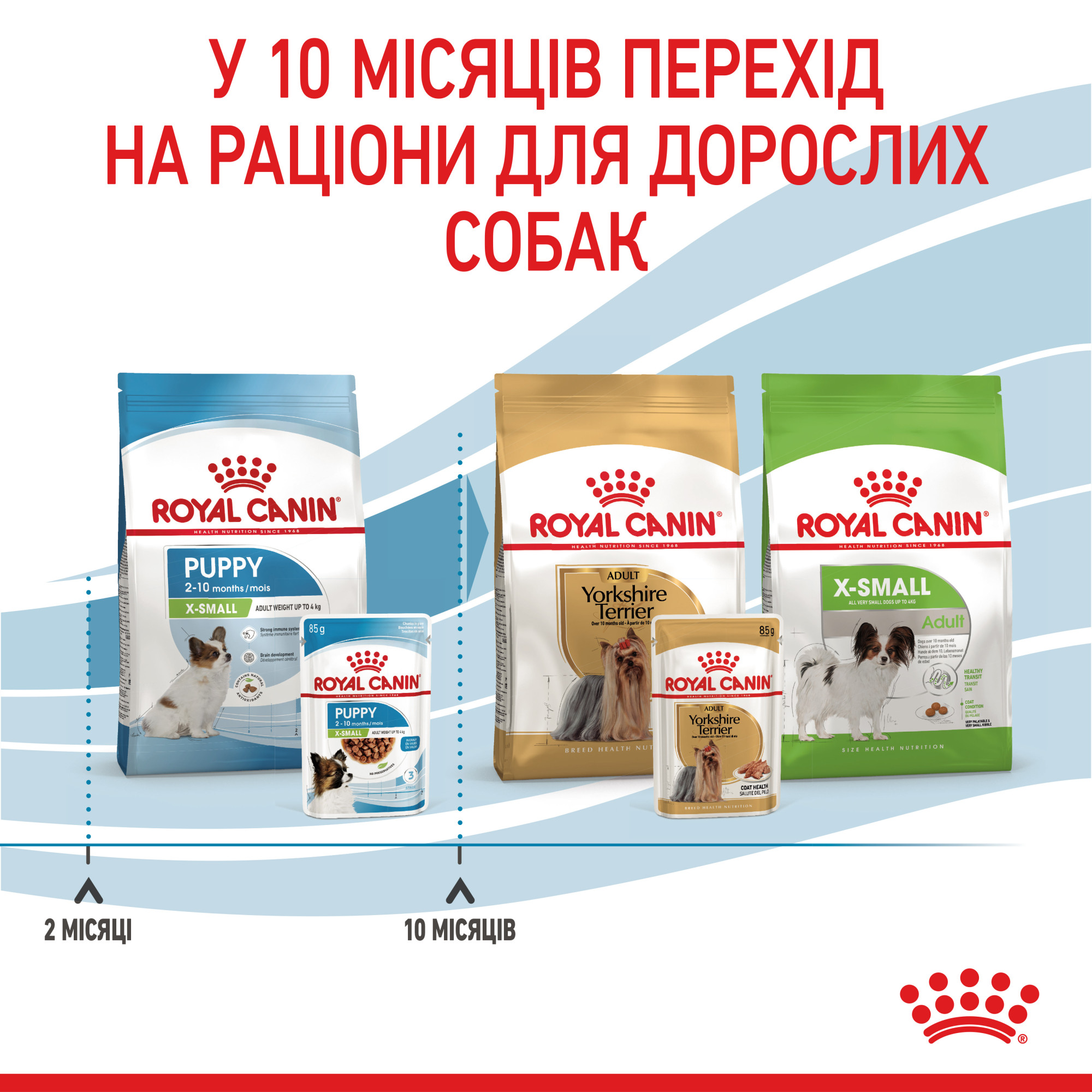 Royal Canin X-Small Puppy Gravy – влажный корм в соусе для щенков миниатюрных пород (до 4 кг во взрослом возрасте) 85 г