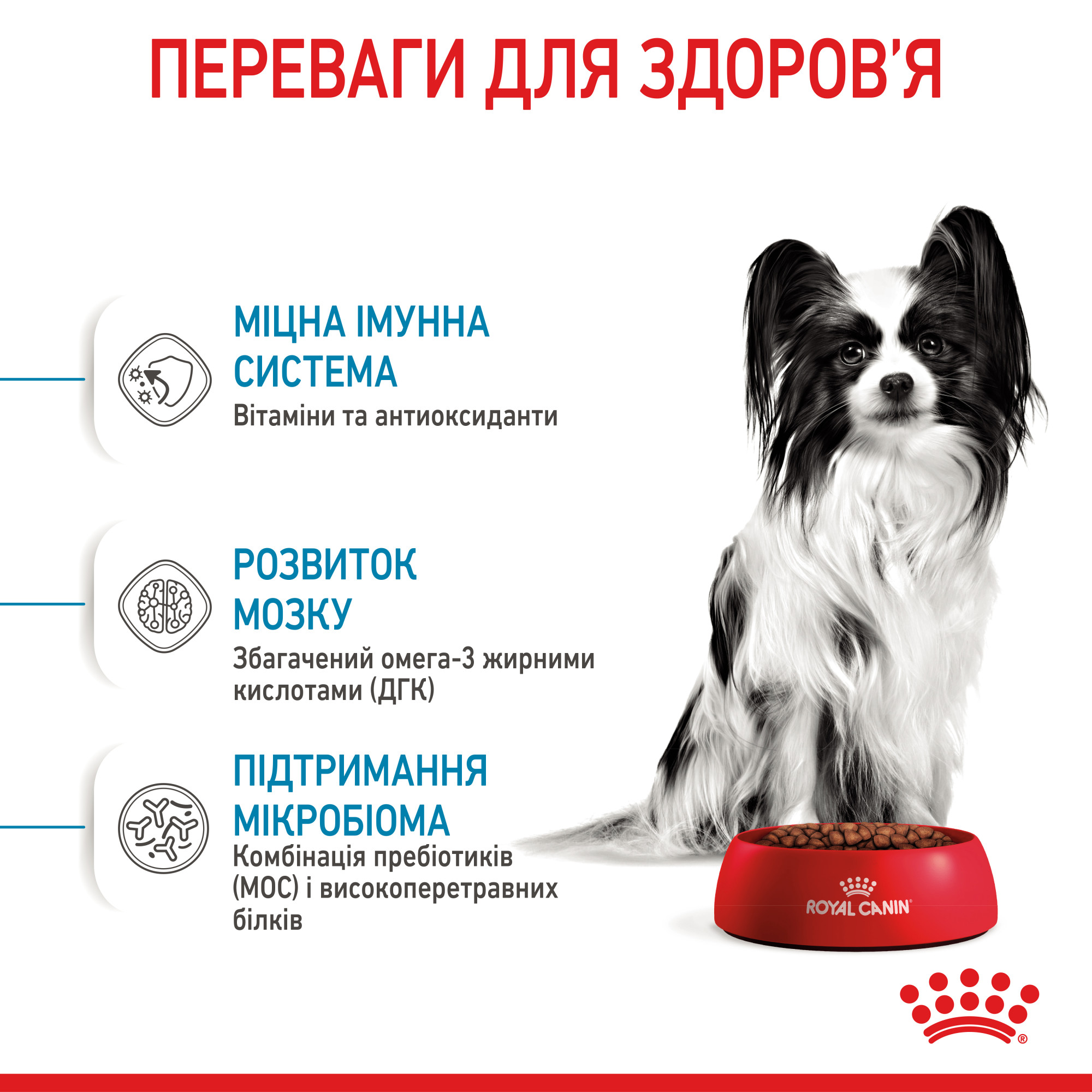 Royal Canin X-Small Puppy – сухий корм для цуценят мініатюрних порід, 1.5 кг