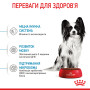 Royal Canin X-Small Puppy – сухий корм для цуценят мініатюрних порід, 1.5 кг