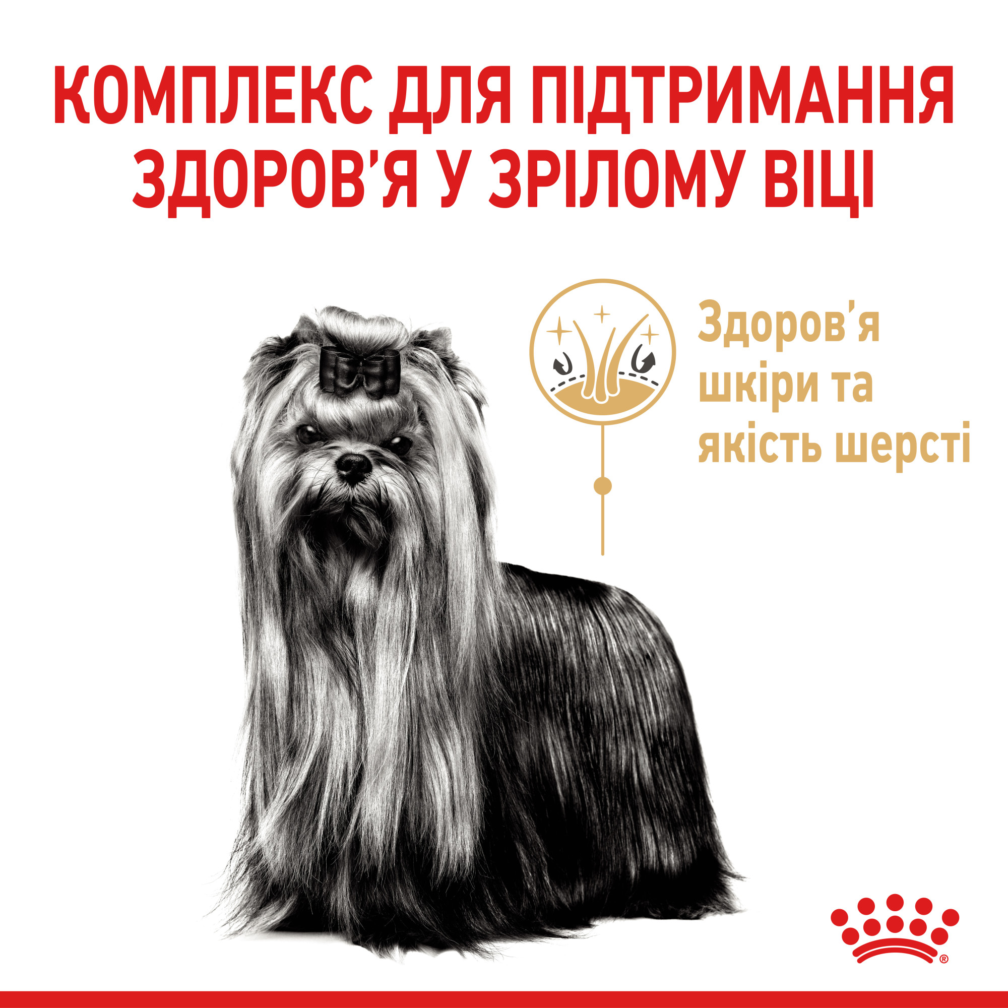 Royal Canin Yorkshire Terrier Adult 8+ – сухой корм для взрослых собак породы йоркширский терьер в возрасте от 8 лет, 1.5 кг