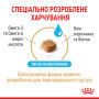 Royal Canin Yorkshire Terrier Adult 8+ – сухой корм для взрослых собак породы йоркширский терьер в возрасте от 8 лет, 1.5 кг
