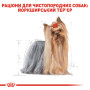 Royal Canin Yorkshire Terrier Adult Pâté – влажный корм (паштет) для взрослых собак породы йоркширский терьер (с 10 месяцев) 85 г