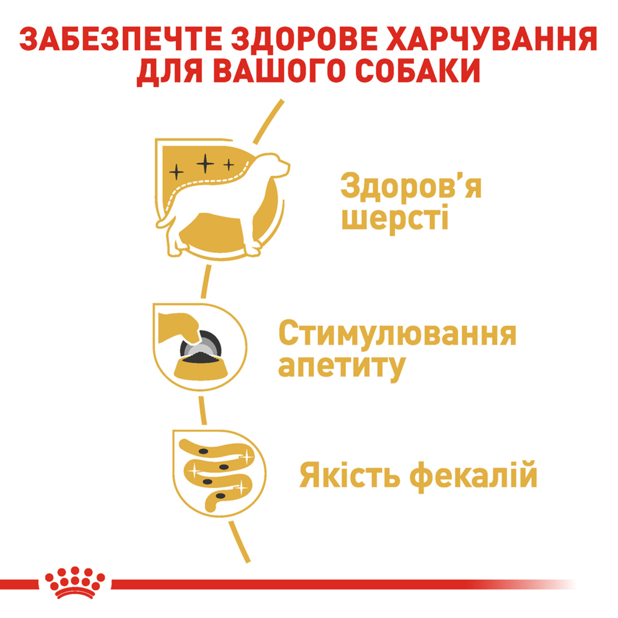 Royal Canin Yorkshire Terrier Adult Pâté – влажный корм (паштет) для взрослых собак породы йоркширский терьер (с 10 месяцев) 85 г