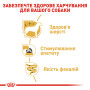 Royal Canin Yorkshire Terrier Adult Pâté – влажный корм (паштет) для взрослых собак породы йоркширский терьер (с 10 месяцев) 85 г