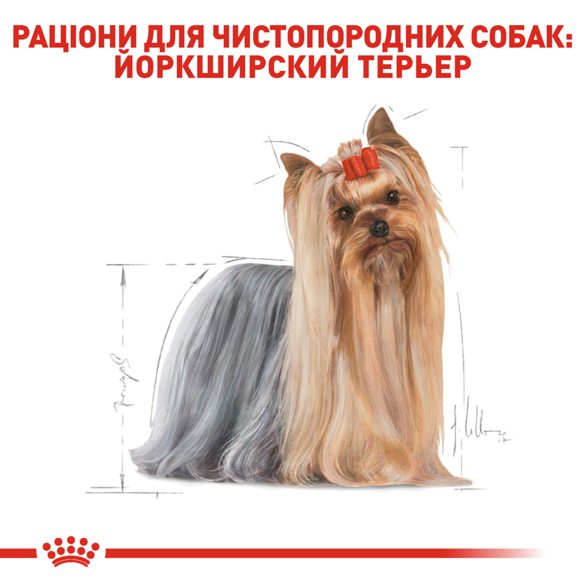 Royal Canin Yorkshire Terrier Adult – сухий корм для дорослих собак породи йоркширський тер'єр від 10 місяців до 8 років, 7.5 кг