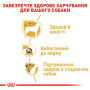 Royal Canin Yorkshire Terrier Adult – сухий корм для дорослих собак породи йоркширський тер'єр від 10 місяців до 8 років, 7.5 кг