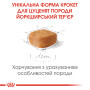 Royal Canin Yorkshire Terrier Puppy – сухий корм для цуценят породи йоркширський тер'єр віком від 8 тижнів до 10 місяців, 1.5 кг