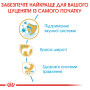 Royal Canin Yorkshire Terrier Puppy – сухий корм для цуценят породи йоркширський тер'єр віком від 8 тижнів до 10 місяців, 1.5 кг