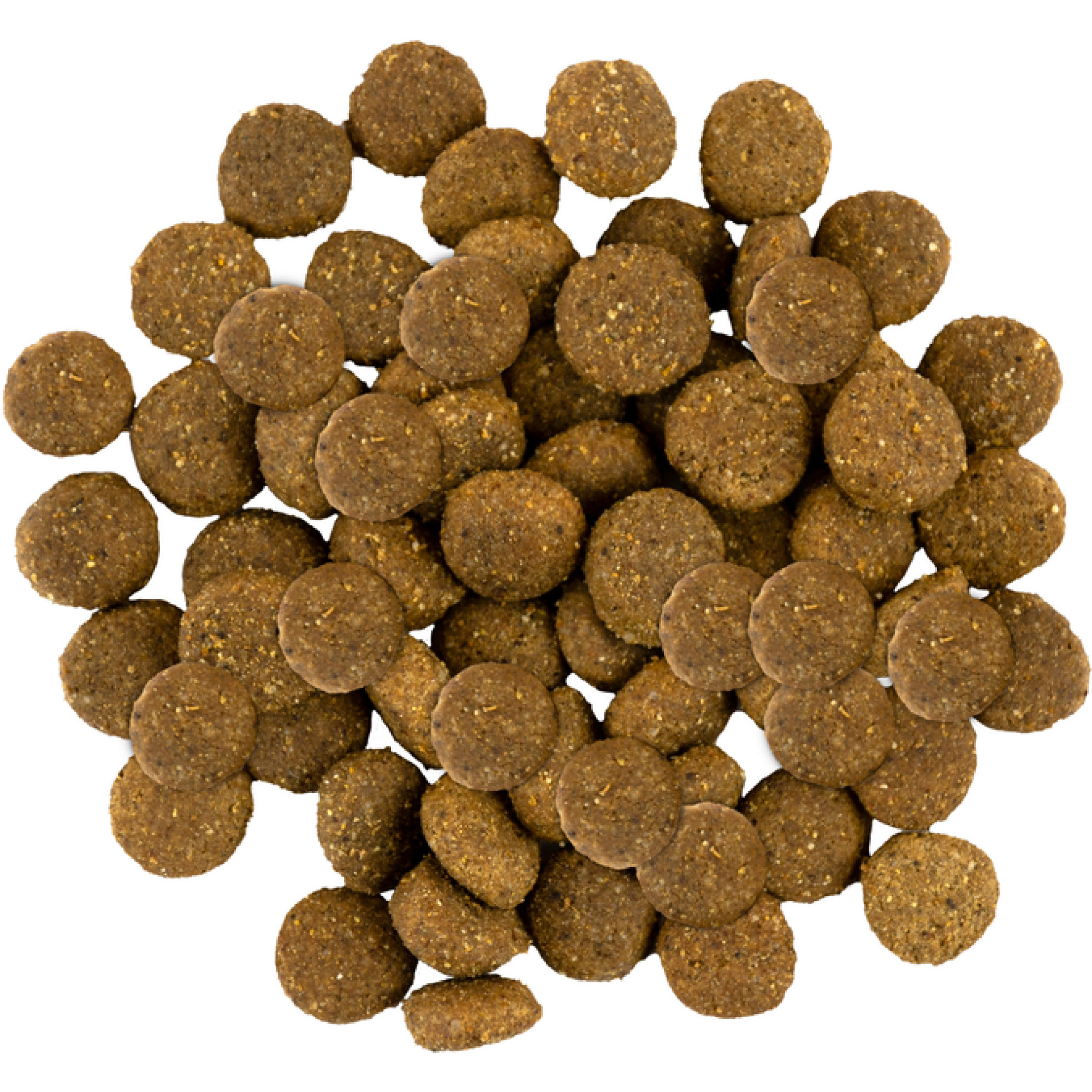 Savory Junior Large rich in Fresh Turkey and Chicken: Для молодих собак великих порід від 25 кг зі свіжою індичкою та куркою, 3 кг