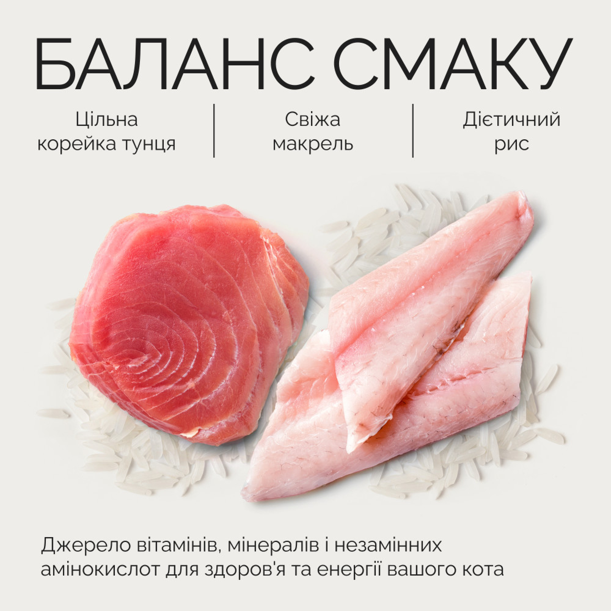 Savory Tuna Fillets rich in Mackerel in Jelly for Adult Cats — повнораціонний вологий корм для дорослих котів, філе тунця з макреллю в желе, 70 г