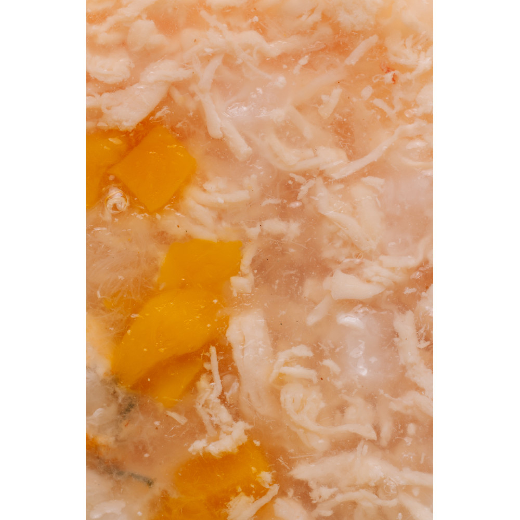 Savory Chicken Fillets rich in Shrimps in Jelly for Kittens — повнораціонний вологий корм для кошенят, філе курки з креветками в желе, 70 г