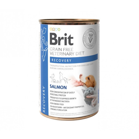 Brit Grain Free Veterinary Diets Recovery: Для дорослих собак та котів для відновлення після хвороби чи операції, 400 г Brit Grain Free Veterinary Diets Recovery: Для дорослих собак та котів для відновлення після хвороби чи операції, 400 г