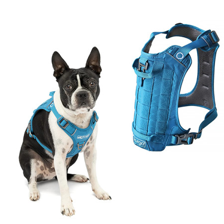 Kurgo County Harness КУРГО КАУНТІ шлея для собак, S Kurgo County Harness КУРГО КАУНТІ шлея для собак, S