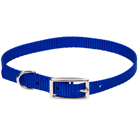 Coastal Nylon Web КОСТАЛ НАЙЛОН ВЕБ ошейник для собак, 1х25см, цвет синий