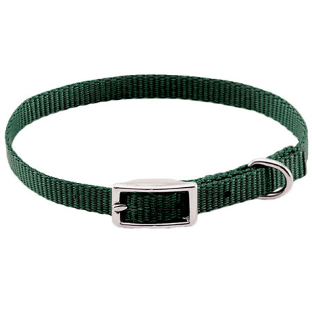 Coastal Nylon Web КОСТАЛ НАЙЛОН ВЕБ ошейник для собак, 1х25см, цвет хаки