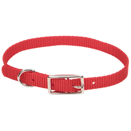 Coastal Nylon Web КОСТАЛ НАЙЛОН ВЕБ ошейник для собак,1х30см, цвет красный