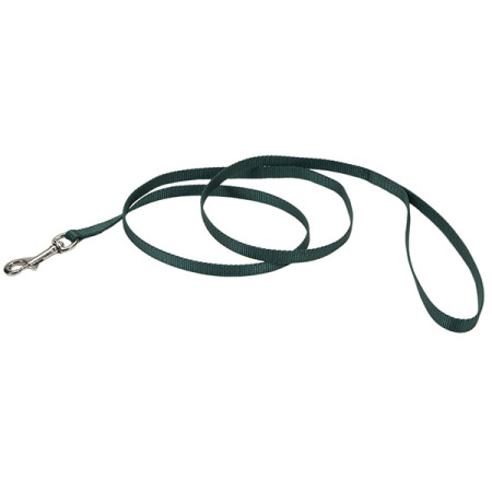 Coastal Nylon Leash КОСТАЛ НАЙЛОН поводок для собак, 1смХ1.2м, цвет хаки