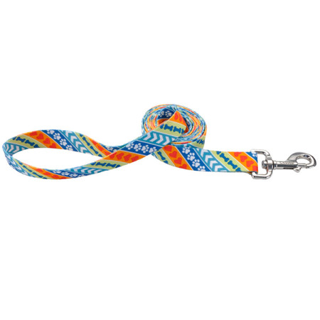 Coastal Pet Attire КОСТАЛ поводок для собак, 1х1,8 м