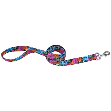 Coastal Pet Attire Styles КОСТАЛ СТАЙЛС поводок для собак, 2смХ1.2м, цвет дикие цветы