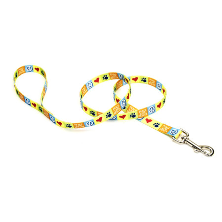 Coastal Pet Attire КОСТАЛ поводок для собак, 2х1,8 м
