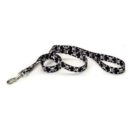 Coastal Pet Attire Styles КОСТАЛ СТАЙЛС поводок для собак, 2.5смХ1.2м, цвет череп