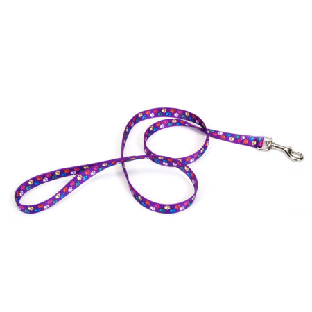 Coastal Pet Attire Styles КОСТАЛ СТАЙЛС поводок для собак, 2.5смХ1.2м, цвет лапки