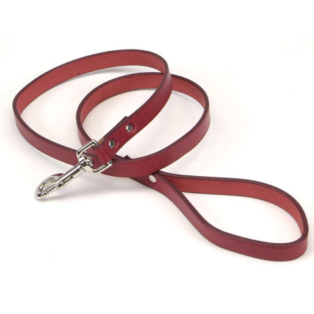 Coastal Circle-T Dog Leash КОСТАЛ СЕРКЛ-Т шкіряний повідець для собак, 2см х 1.2м, колір червоний